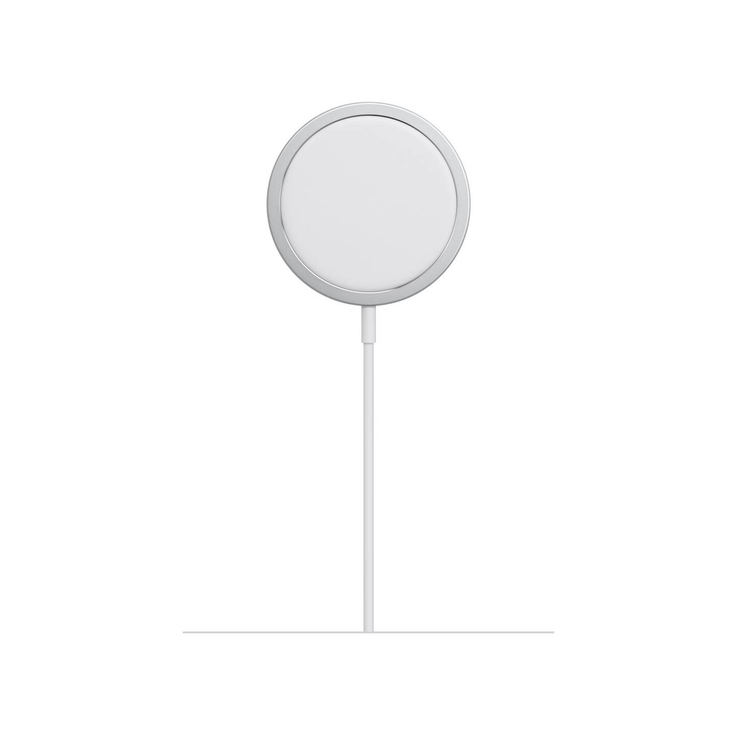 Apple MageSafe Charger - PineApple