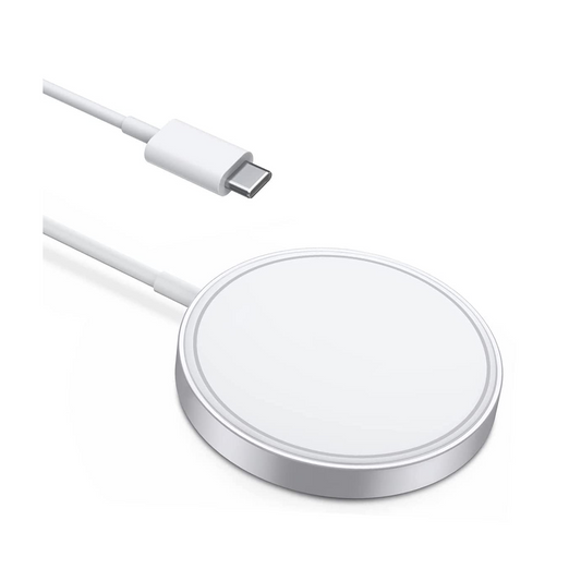 Apple MageSafe Charger - PineApple